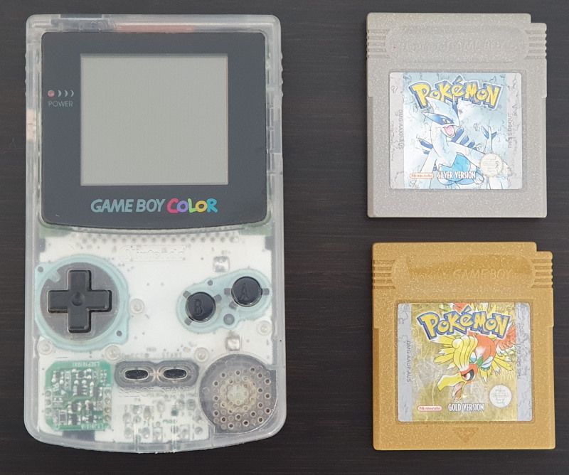 Making a Living Dex: Part 2 - It Begins With Generation Six